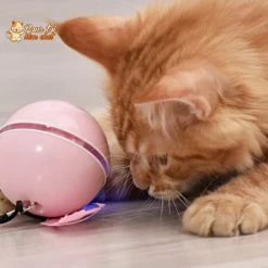 Balle Interactive Pour Chat - RollChat™ -Chats Fournitures Magasin RollChat Balle interactive pour Chat Pour toi Mon chat 1633551124