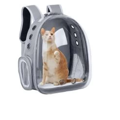 Sac à Dos D'extérieur Respirant Pour Chat