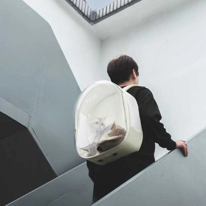 Sac à Dos De Transport Pliable Blanc En Cuir Avec Un Côté Transparent Pour Chat 3 Sac à Dos De Transport Pliable Blanc En Cuir Avec Un Côté Transparent Pour Chat – Image 3