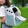 Sac à Dos Vert Pliable Et Ventilé Pour Chat