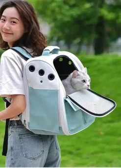Sac à Dos Vert Pliable Et Ventilé Pour Chat