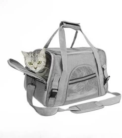 Sac à Main à Bandoulière Pour Le Transport Des Chats