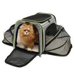 Sac De Transport Pliable Et Respirant Vert Et Gris Pour Chat
