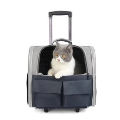 Sac De Transport Pliable Pour Chat -Chats Fournitures Magasin Sac de transport pliable pour chat Pour toi Mon chat 1680386129 21081e1e 994a 49e6 9f28 6a919c2b1447