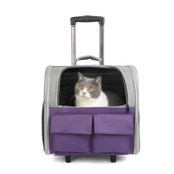 Sac De Transport Pliable Pour Chat -Chats Fournitures Magasin Sac de transport pliable pour chat Pour toi Mon chat 1680386132 27c52798 3c8a 4872 adcb bbc6d147960c
