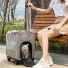 Sac Portable Télescopique à Roulettes Pour Chat