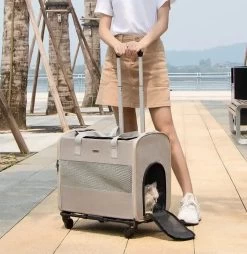 Sac Portable Télescopique à Roulettes Pour Chat -Chats Fournitures Magasin Sac portable telescopique a roulettes pour chat Pour toi Mon chat 1681115637 a81727aa 52cc 4e6c 9ae7 dd0357a01a3c