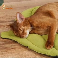 TAPIS, LIT, COUSSIN DOUX EN FORME DE FEUILLE POUR CHAT – FEUILL’À’CHAT™ -Chats Fournitures Magasin TAPIS LIT COUSSIN DOUX EN FORME DE FEUILLE POUR CHAT FEUILL A CHAT Pour toi Mon chat 1669222711