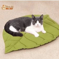 TAPIS, LIT, COUSSIN DOUX EN FORME DE FEUILLE POUR CHAT – FEUILL’À’CHAT™ -Chats Fournitures Magasin TAPIS LIT COUSSIN DOUX EN FORME DE FEUILLE POUR CHAT FEUILL A CHAT Pour toi Mon chat 1669222720