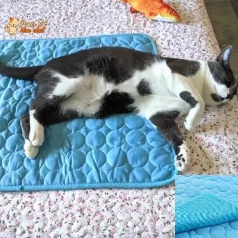 Tapis Rafraîchissant & Reposant - CHATauFrais™ 8 Tapis Rafraîchissant & Reposant - CHATauFrais™ – Image 8