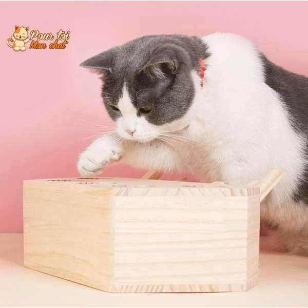 Jeu éducatif En Bois - AttrapCat'™ 4 Jeu éducatif En Bois - AttrapCat'™ – Image 4