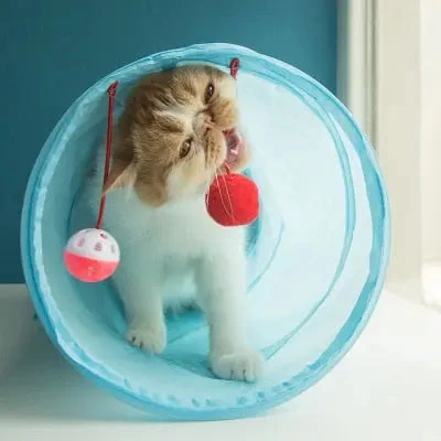 Tube De Jeu Pliable à Deux Trous Pour Chaton 1 Tube De Jeu Pliable à Deux Trous Pour Chaton